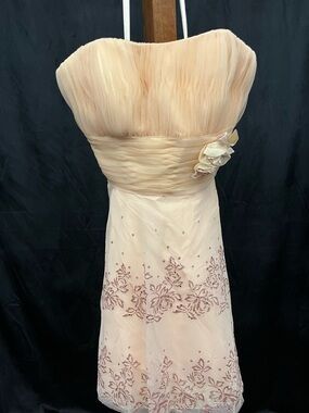 VTG Champagne Tulle Prom Dress Y2K Fairycore Glitter Floral Rose